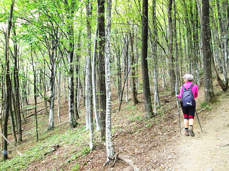 Nature Park Medvednica