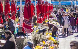 Thumbnail for Discover the Vibrant Dolac Market in Zagreb