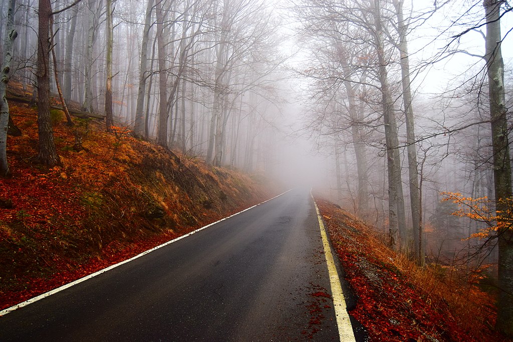 Autumn on Medvednica