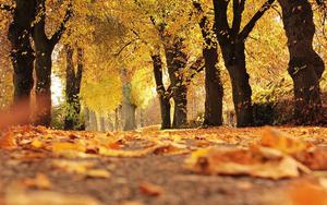 Thumbnail for 5 Reasons to Explore Zagreb during Autumn
