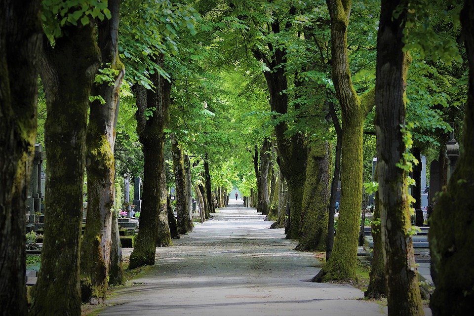 Walking road Mirogoj Cementary