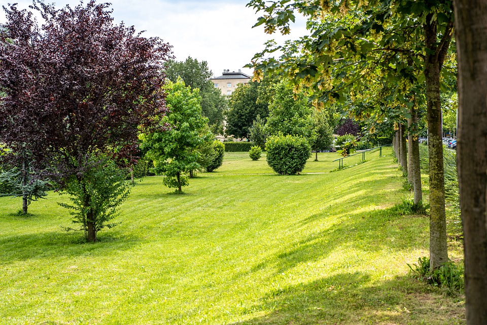 park in Zagreb