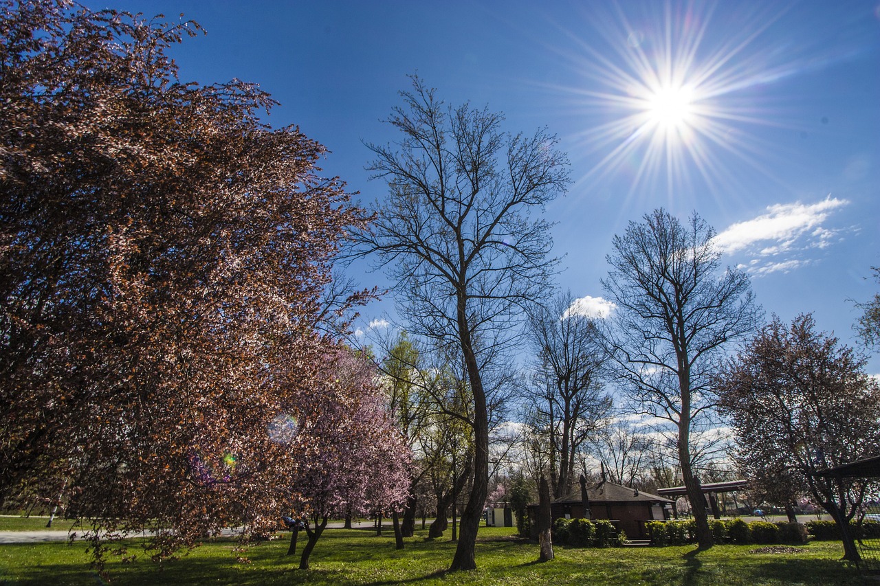 Jarun Park, Zagreb