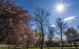 Thumbnail for Ultimate Ways to be in the Lap of Nature in Zagreb